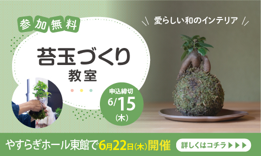 苔玉づくり教室（門真）_トピック
