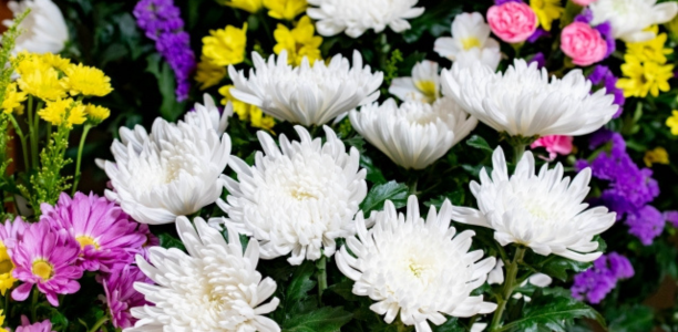 社葬・合同葬における供花マナー